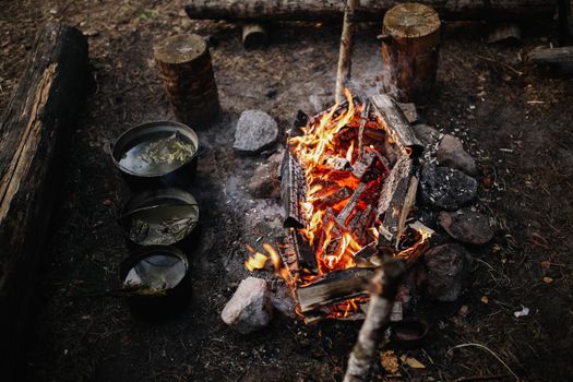 survival water food - Photo by Yan Krukau (Pexels)